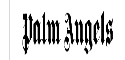 Extra 20% Off Selected Palm Angels Sale Items